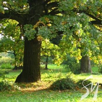 �� ������ ������� �������������� ���� ������ ������� ����� ����� 